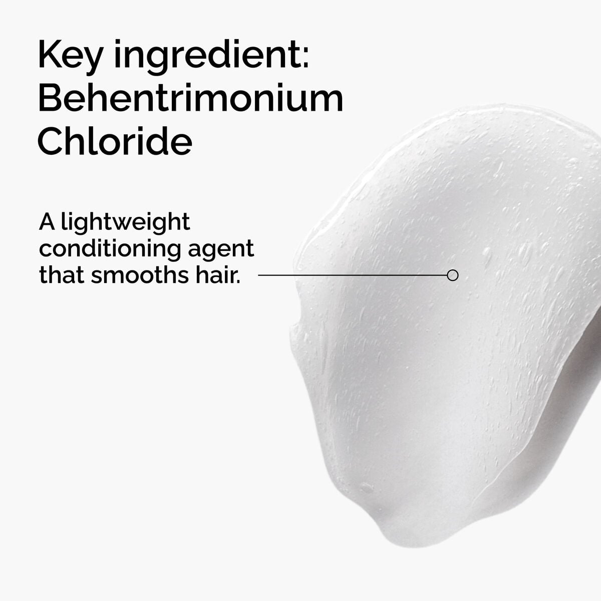 behentrimonium-chloride-2-conditioner-g0 FY25-D41247-ORD-Web-PDP-BTC-1x1-EN-2a.jpg