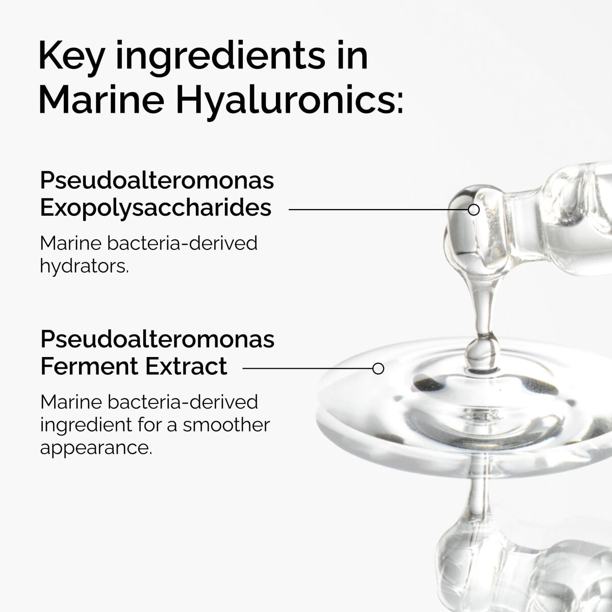marine-hyaluronics-b1 FY25-D41247-ORD-Web-PDP-Marine-Hya-1x1-EN-2a.jpg