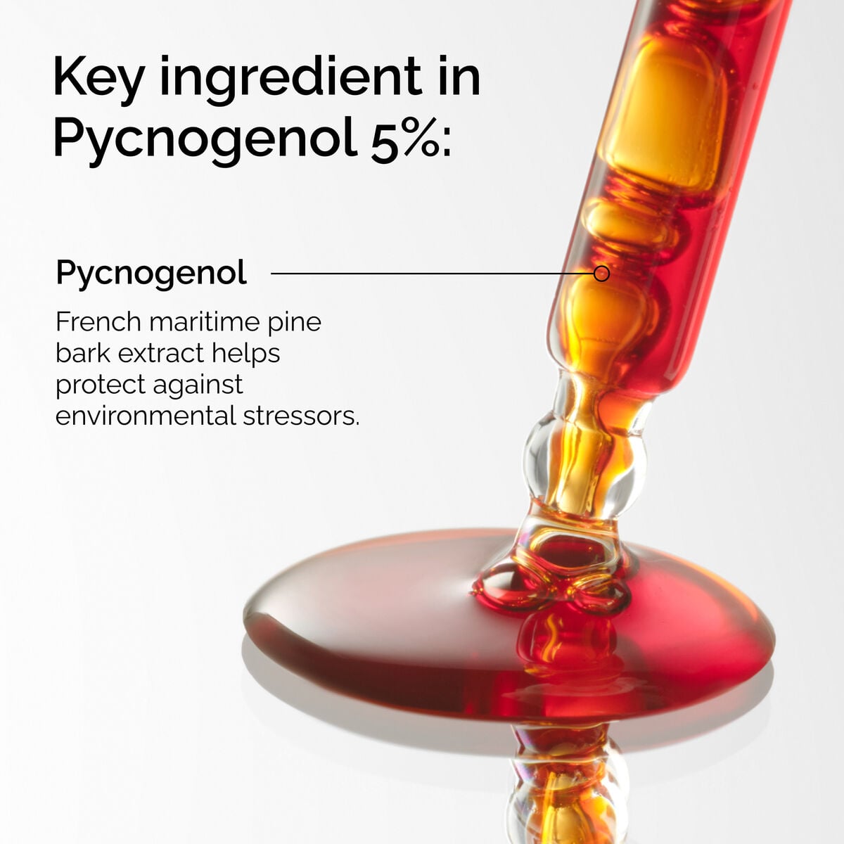 pycnogenol-5-w5 FY25-D41247-ORD-Web-PDP-Pyc-5pct-1x1-EN-2a.jpg