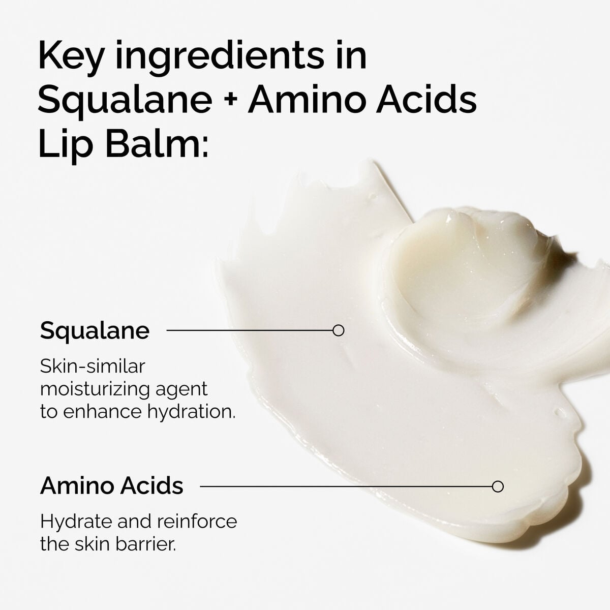 squalane-amino-acids-lip-balm-h8 FY25-D41247-ORD-Web-PDP-Sql-Amino-Lip-1x1-EN-2a.jpg