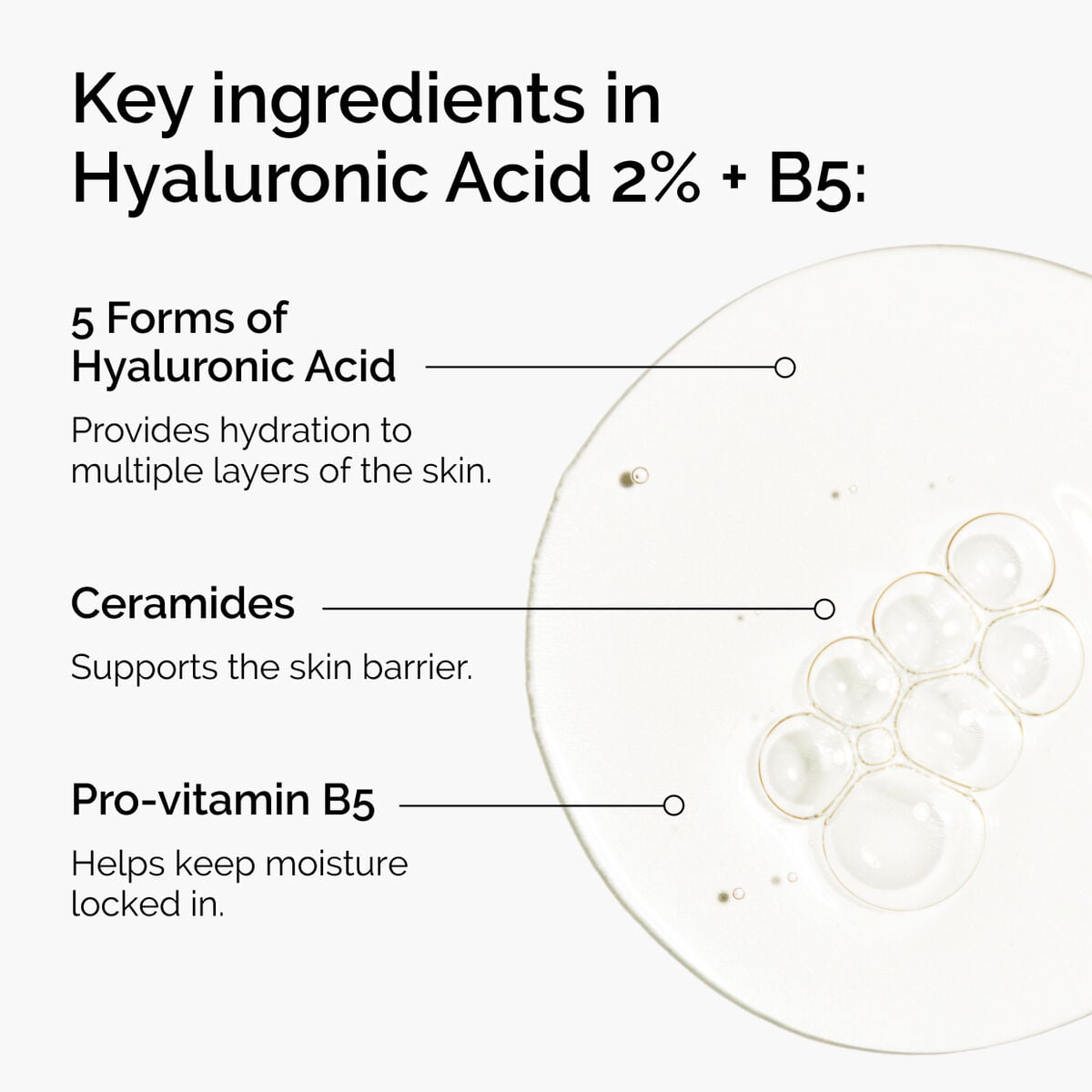 hyaluronic-acid-2-b5-with-ceramides-w3 ord-hyaluronic-acid-2pct-b5-hydrating-serum-ingredients-graphic.jpg