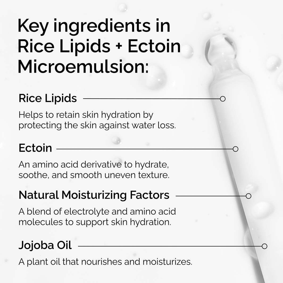 rice-lipids-ectoin-microemulsion-f6 ord-rice-lipids-ectoin-microemulsion-key-ingredients.png