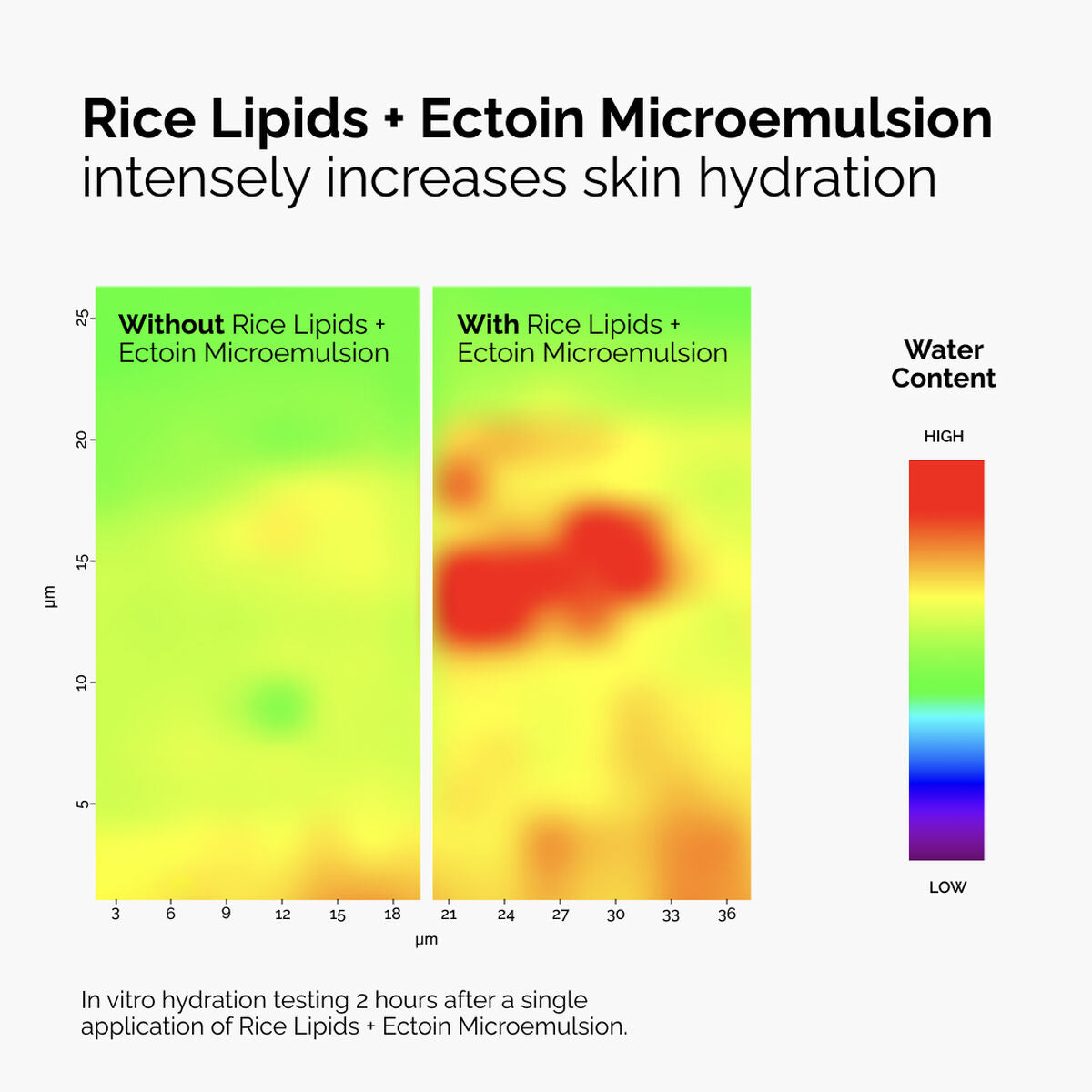 rice-lipids-ectoin-microemulsion-f6 ord-rice-lipids-ectoin-microemulsion-thermal-before-after.jpg